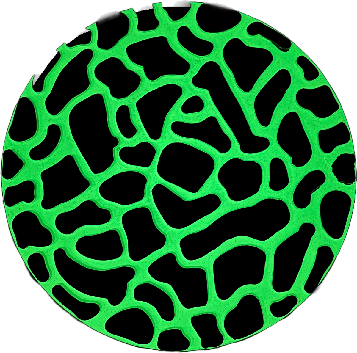 Round dark green stone featuring an intricate network of bright neon-green natural vein patterns across its surface.